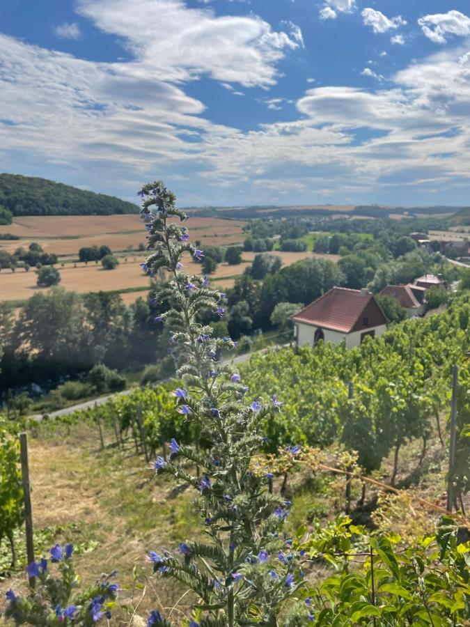 Ferienhaus Traminer Im Weinberg Freyburg Εξωτερικό φωτογραφία